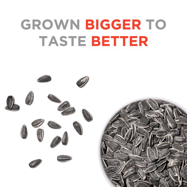 Jacked Pepper Seeds 5oz Jumbo Sunflower Seeds Snacks