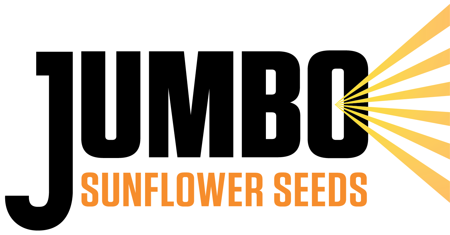 Jumbo Savory Snacks Jumbo Sunflower Seeds